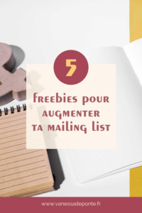 5 freebies pour augmenter ta mailing list