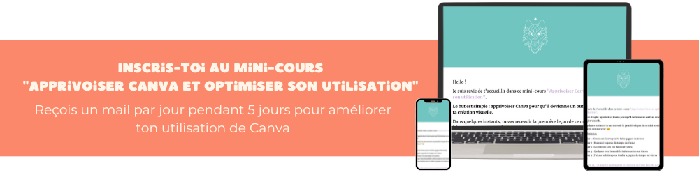 Mini cours gratuit : Apprivoiser Canva et optimiser son utilisation